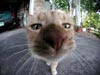 Click for a big!